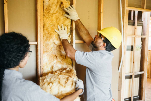 Insulation Repair Services in Indian Hills, CO