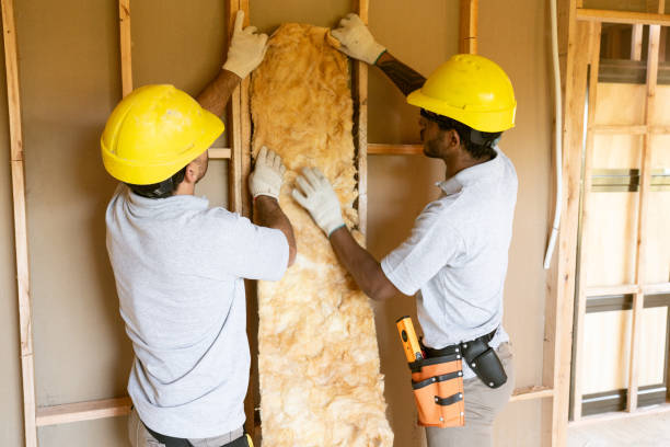 Best Insulation Removal Services  in Indian Hills, CO